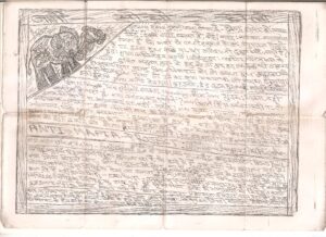 एंटी-माफिया प्रोजेक्ट 5